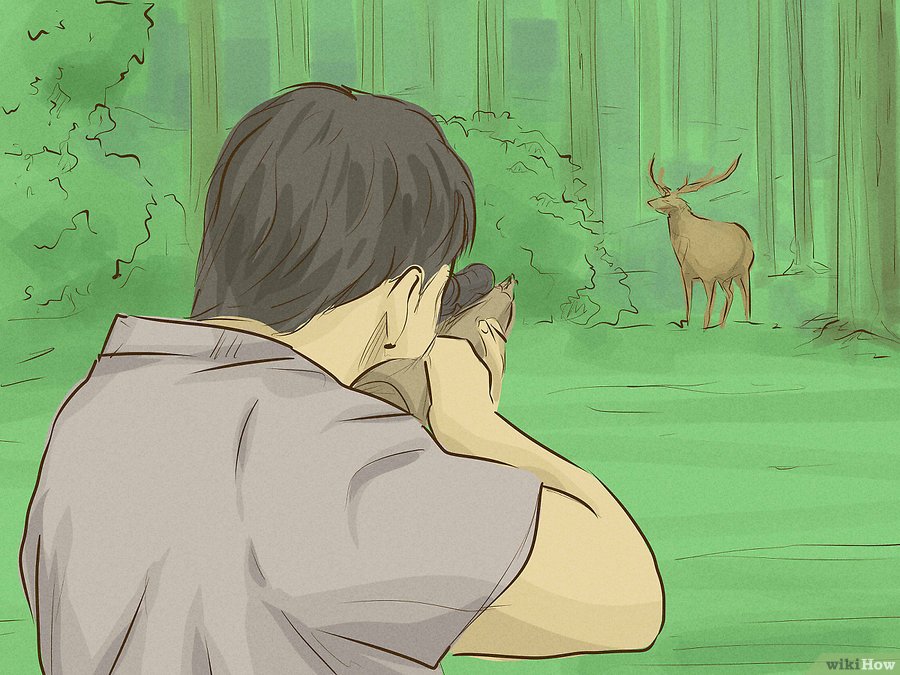 Foto: WikiHow